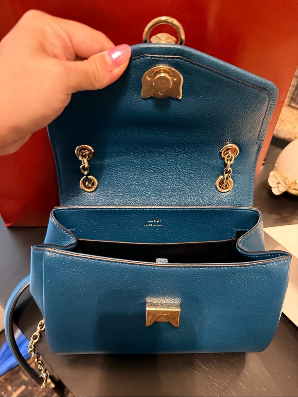 Cartier Panthere Graphique Small Leather Shoulder Bag with champagne Hardware - Picture 7 of 9